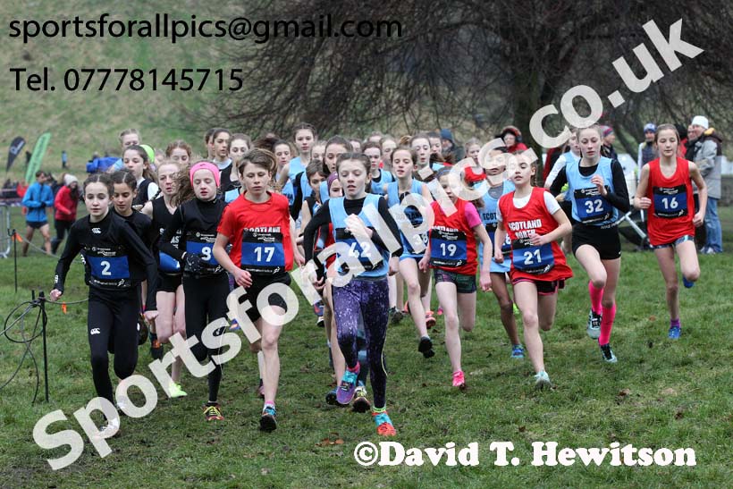 Inter District girls under-13s, 2018 Simplyhealth Great Edinburgh International XCountry. Photo: David T. Hewitson/Sports for All Pics